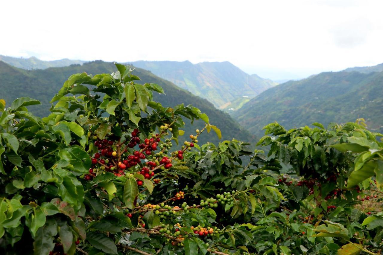 Finca La Manchuria Salgar  Exterior photo